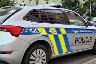 Nakupovala, ale neplatila. Podvodnice napálila skoro padesát prodávajících